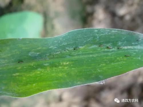 ���הQ����ô�k����ץ�o��Q��(hu��)Ӱ푮a(ch��n)��!!!